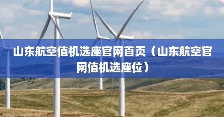 山东航空值机选座官网首页（山东航空官网值机选座位）