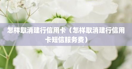 怎样取消建行信用卡（怎样取消建行信用卡短信服务费）