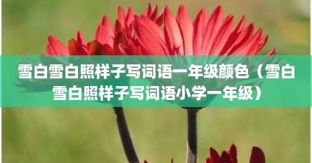雪白雪白照样子写词语一年级颜色（雪白雪白照样子写词语小学一年级）