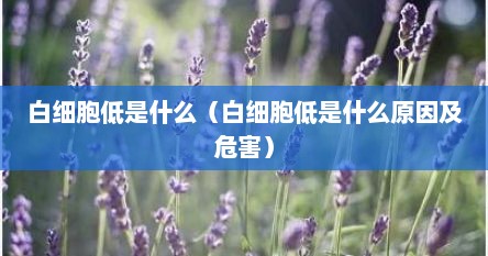 白细胞低是什么（白细胞低是什么原因及危害）