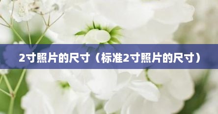 2寸照片的尺寸（标准2寸照片的尺寸）