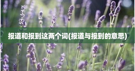 报道和报到这两个词(报道与报到的意思)