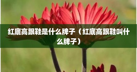 红底高跟鞋是什么牌子（红底高跟鞋叫什么牌子）