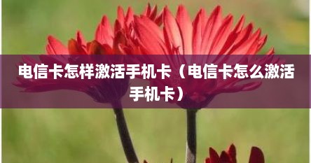 电信卡怎样激活手机卡（电信卡怎么激活手机卡）