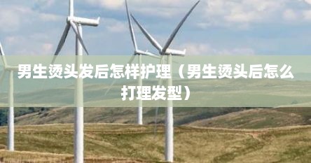 男生烫头发后怎样护理（男生烫头后怎么打理发型）
