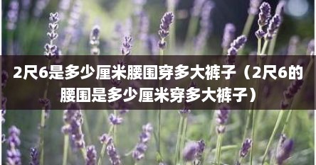2尺6是多少厘米腰围穿多大裤子（2尺6的腰围是多少厘米穿多大裤子）