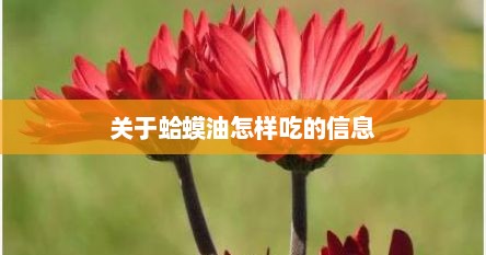 关于蛤蟆油怎样吃的信息