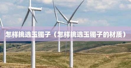 怎样挑选玉镯子（怎样挑选玉镯子的材质）