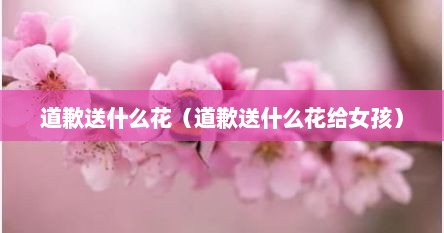 道歉送什么花（道歉送什么花给女孩）