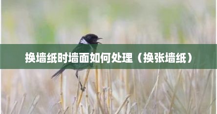 换墙纸时墙面如何处理（换张墙纸）