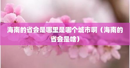 海南的省会是哪里是哪个城市啊（海南的省会是啥）