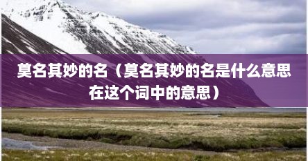 莫名其妙的名（莫名其妙的名是什么意思在这个词中的意思）