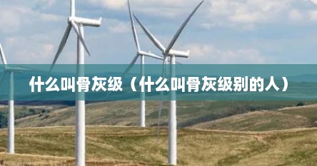 什么叫骨灰级（什么叫骨灰级别的人）