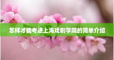 怎样才能考进上海戏剧学院的简单介绍