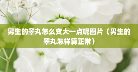 男生的睾丸怎么变大一点呢图片（男生的睾丸怎样算正常）