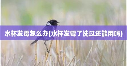 水杯发霉怎么办(水杯发霉了洗过还能用吗)
