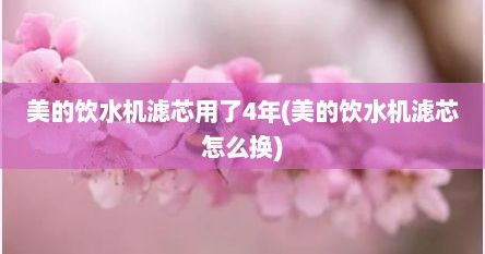 美的饮水机滤芯用了4年(美的饮水机滤芯怎么换)