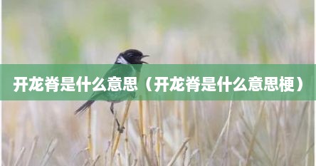 开龙脊是什么意思（开龙脊是什么意思梗）