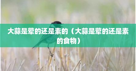 大蒜是荤的还是素的（大蒜是荤的还是素的食物）