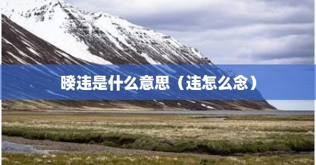暌违是什么意思（违怎么念）