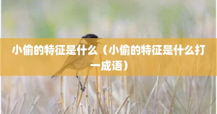 小偷的特征是什么（小偷的特征是什么打一成语）