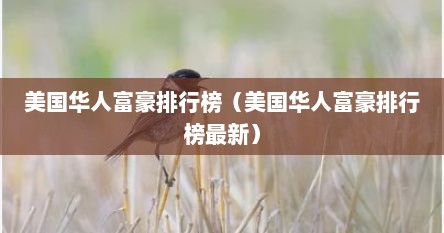美国华人富豪排行榜（美国华人富豪排行榜最新）