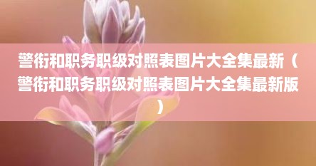 警衔和职务职级对照表图片大全集最新（警衔和职务职级对照表图片大全集最新版）