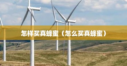 怎样买真蜂蜜（怎么买真蜂蜜）