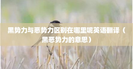 黑势力与恶势力区别在哪里呢英语翻译（黑恶势力的意思）