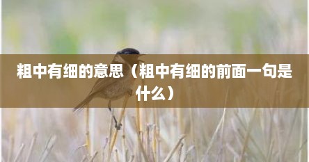粗中有细的意思（粗中有细的前面一句是什么）