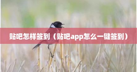贴吧怎样签到（贴吧app怎么一键签到）