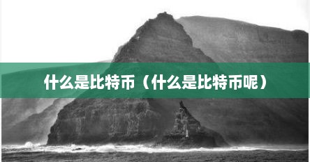 什么是比特币（什么是比特币呢）