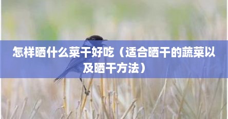 怎样晒什么菜干好吃（适合晒干的蔬菜以及晒干方法）