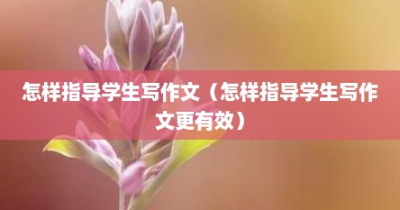 怎样指导学生写作文（怎样指导学生写作文更有效）