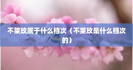 不莱玫属于什么档次（不莱玫是什么档次的）