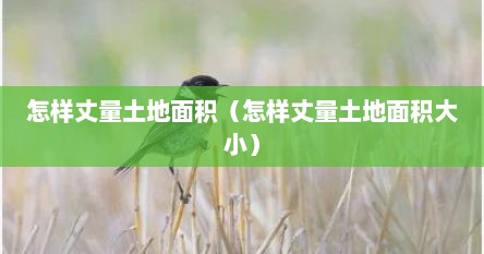怎样丈量土地面积（怎样丈量土地面积大小）