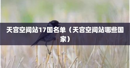 天宫空间站17国名单（天宫空间站哪些国家）