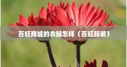 百旺商城的衣服怎样（百旺服装）