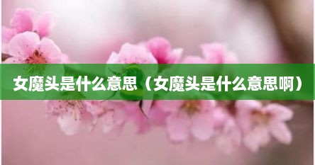 女魔头是什么意思（女魔头是什么意思啊）