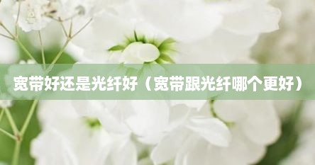 宽带好述是光纤好（宽带跟光纤哪个很好）