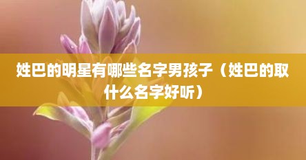 姓巴的明星有哪些名字男孩子（姓巴的取什么名字好听）