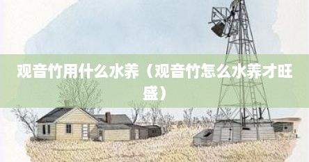 观音竹用什么水养（观音竹怎么水养才旺盛）