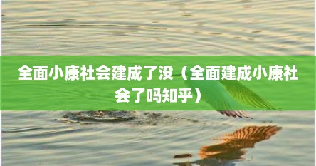 全面小康社会建成了没（全面建成小康社会了吗知乎）