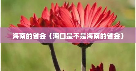 海南的省会（海口是不是海南的省会）