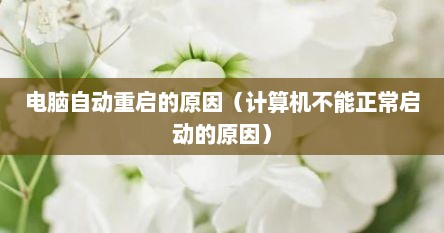 电脑自动重启的原因（计算机不能正常启动的原因）