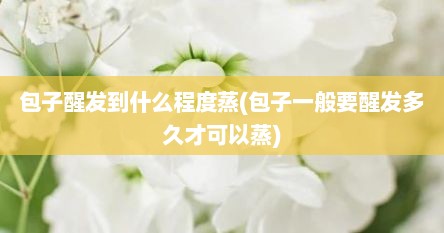 包子醒发到什么程度蒸(包子一般要醒发多久才可以蒸)