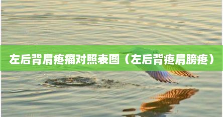 左后背肩疼痛对照表图（左后背疼肩膀疼）