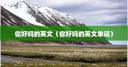 你好吗的英文（你好吗的英文单词）