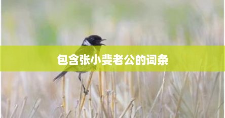 包含张小斐老公的词条