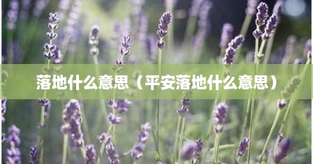 落地平安是什么意思（落地平安怎么说）